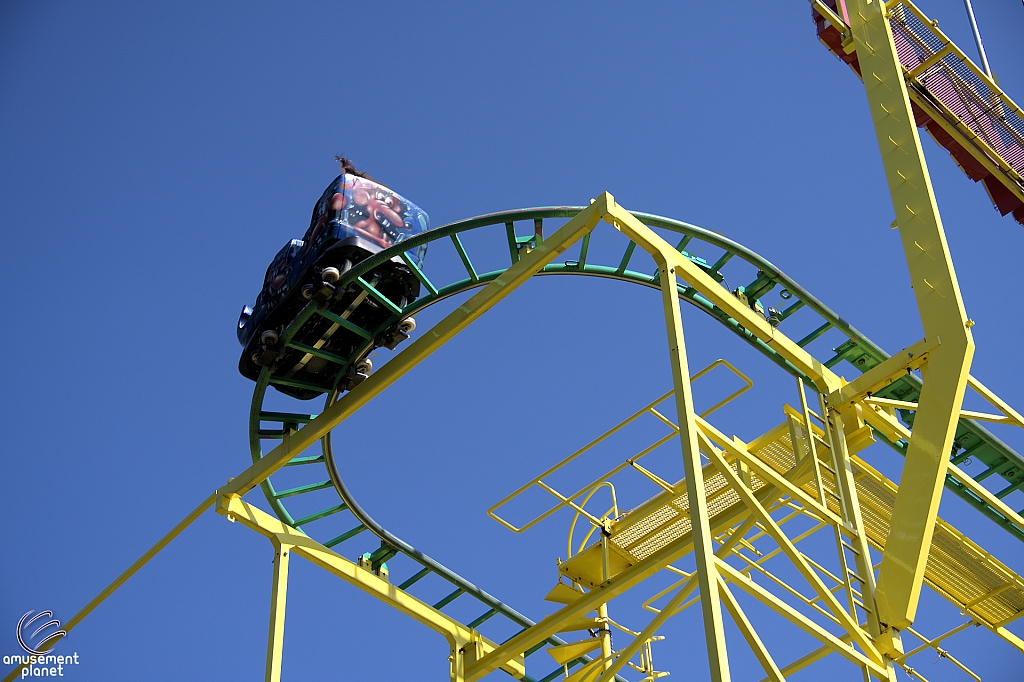 Wild Mouse