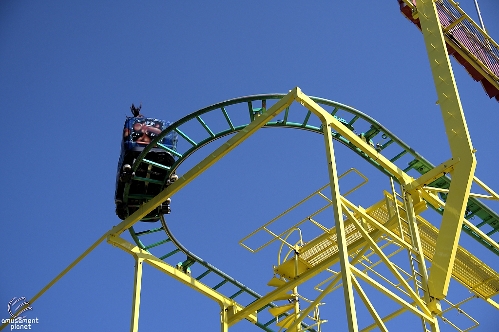 Wild Mouse