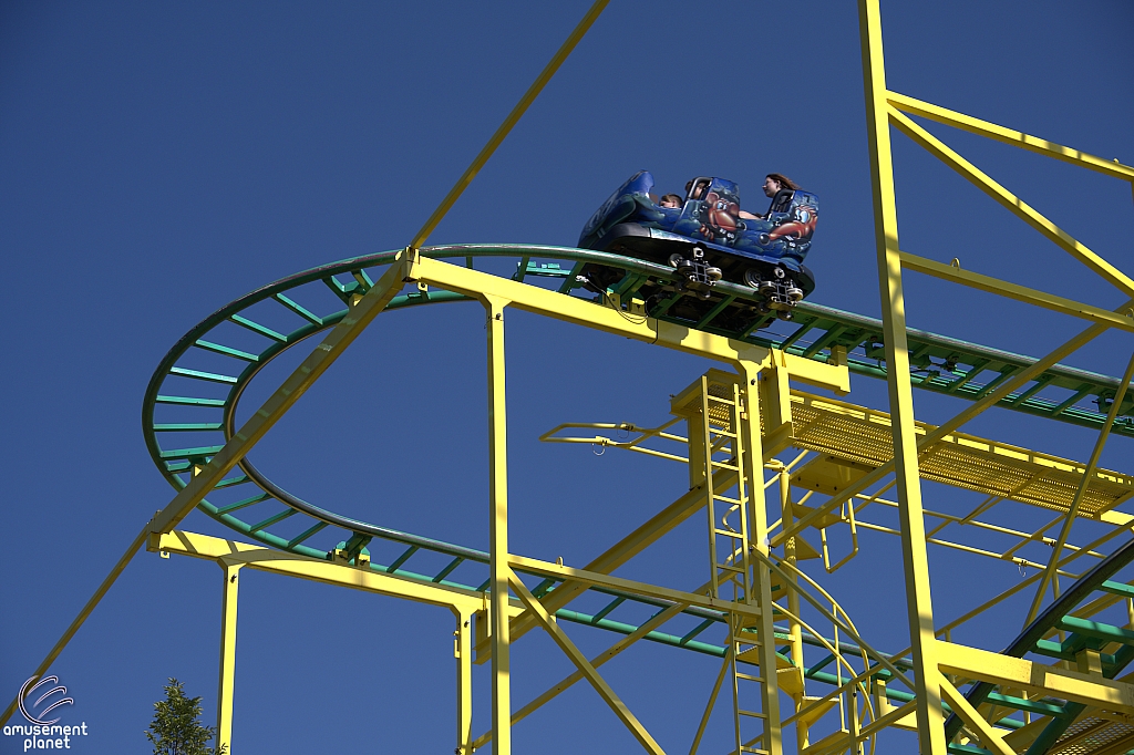 Wild Mouse