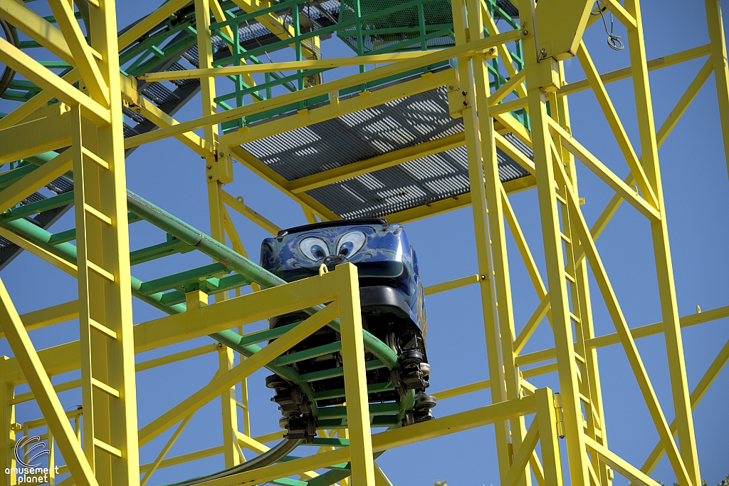 Wild Mouse