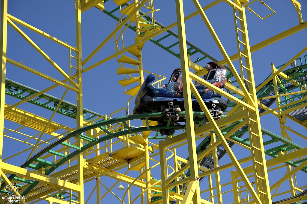 Wild Mouse