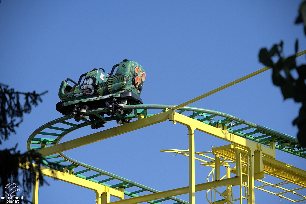 Wild Mouse