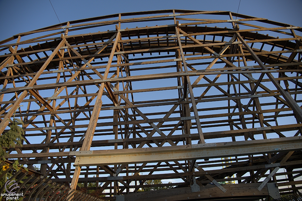 Roller Coaster