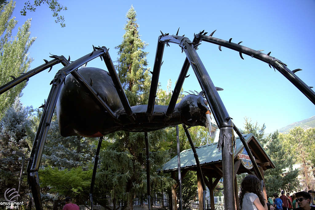 Spider