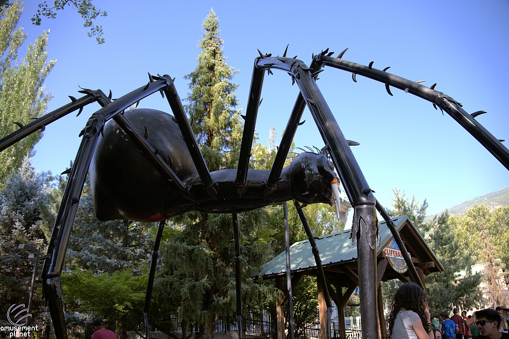 Spider