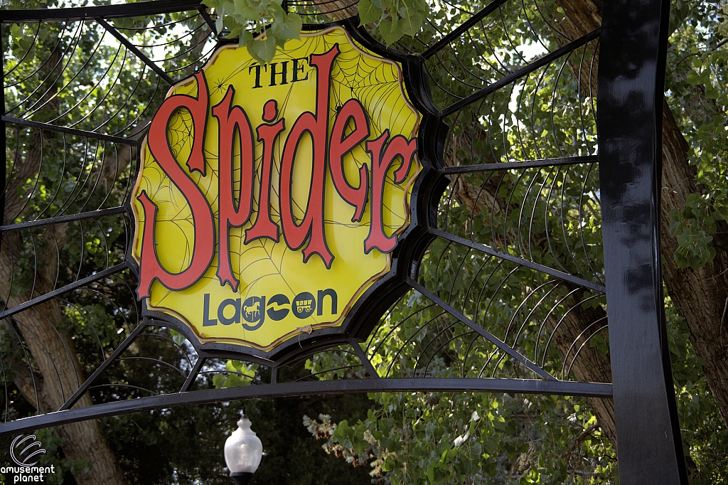 Spider