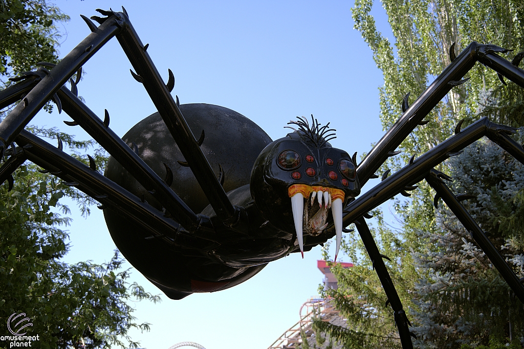 Spider