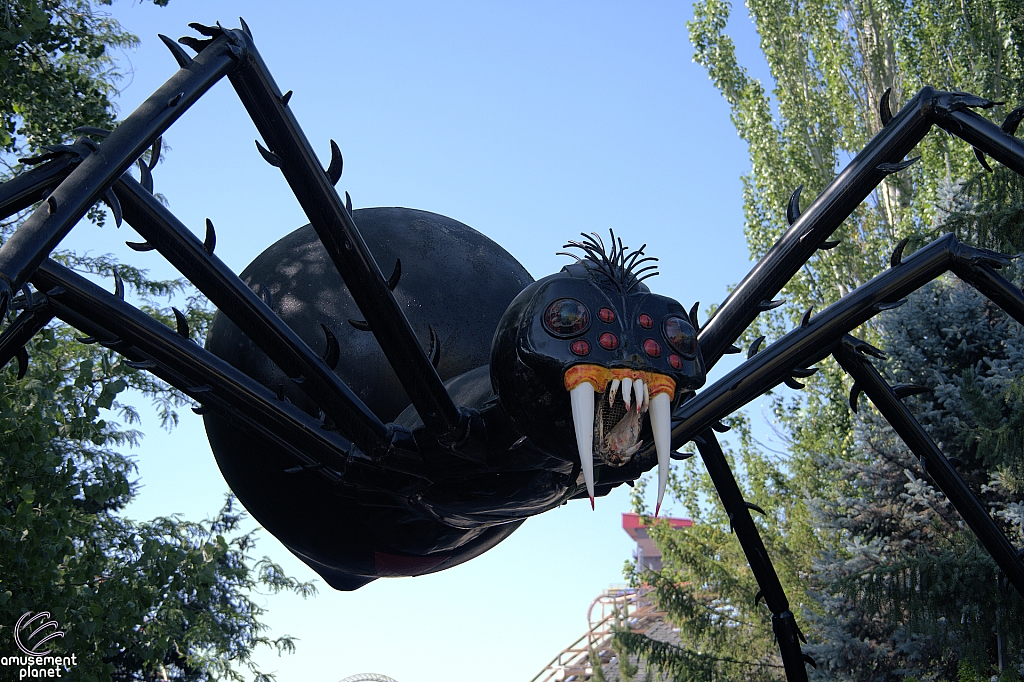 Spider