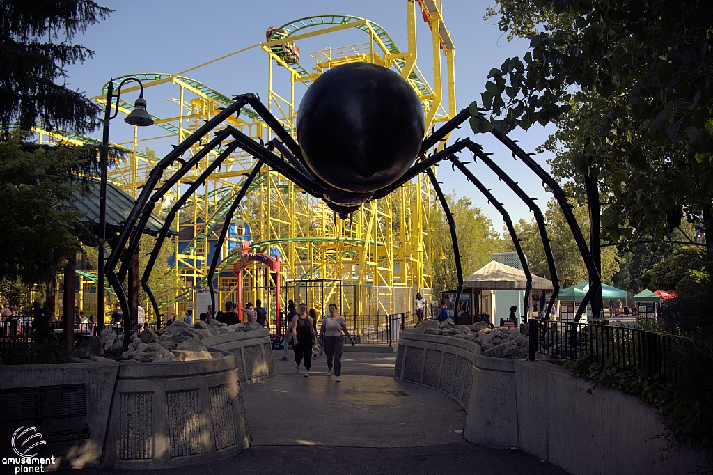 Spider