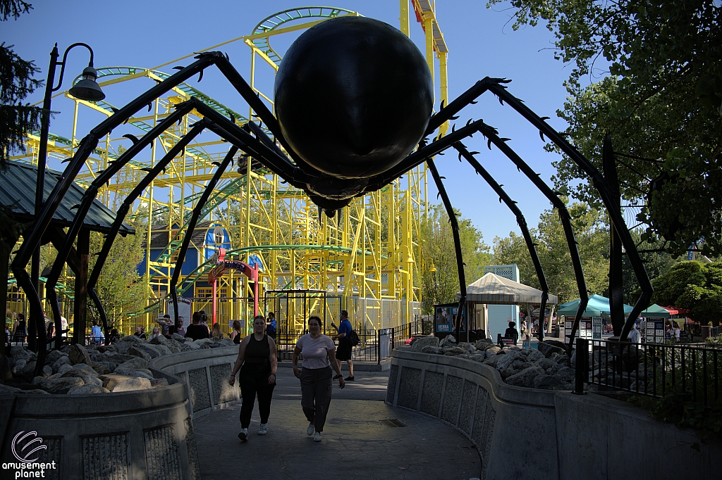 Spider