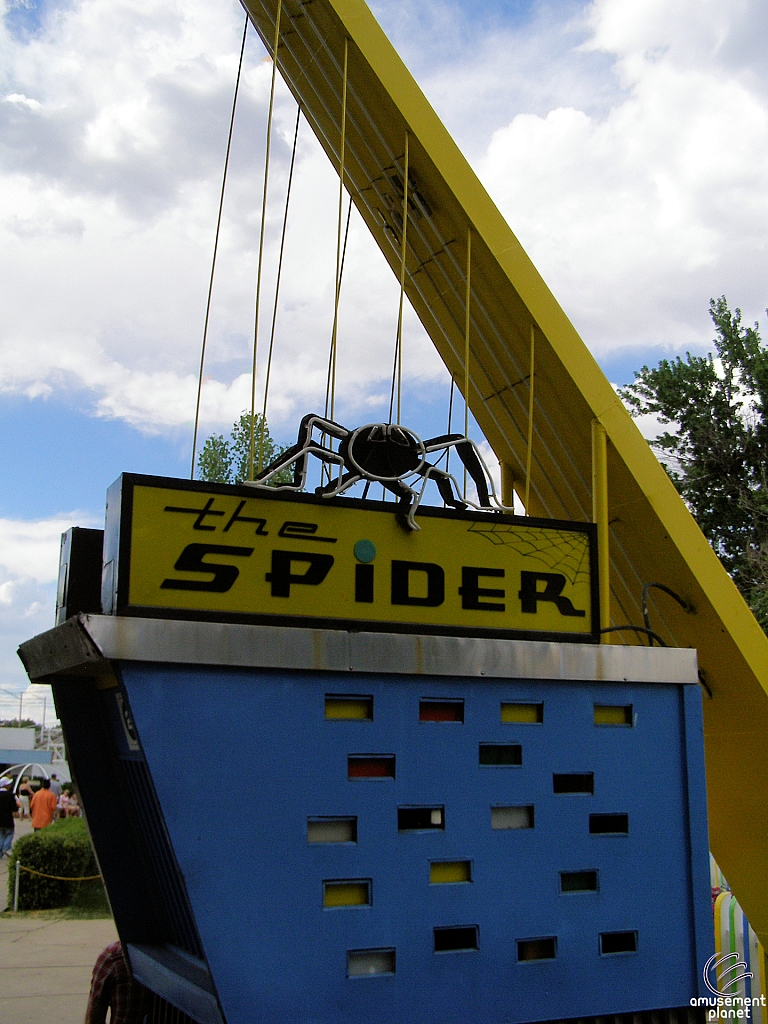 Spider
