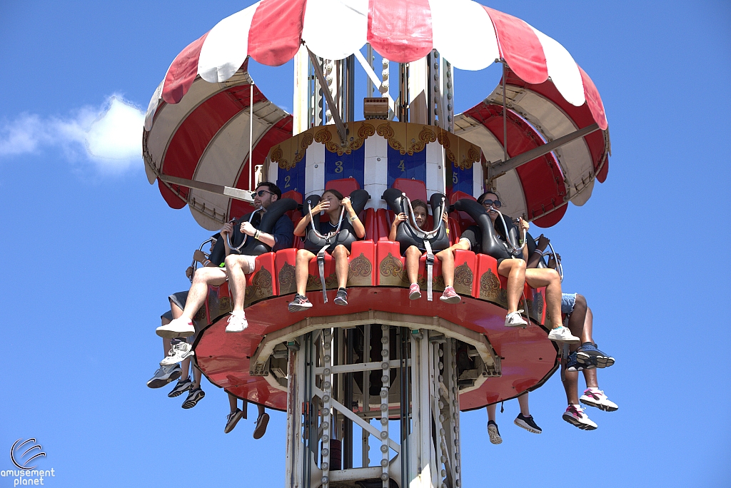 Coney Tower