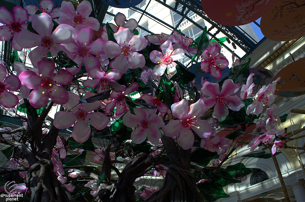 Conservatory and Botanical Gardens