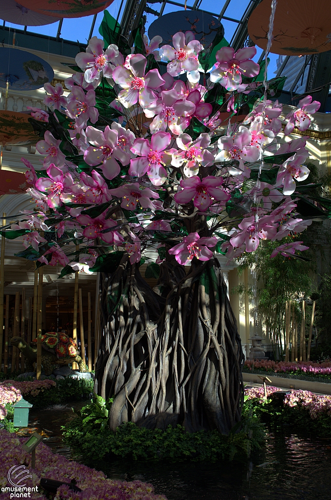 Conservatory and Botanical Gardens