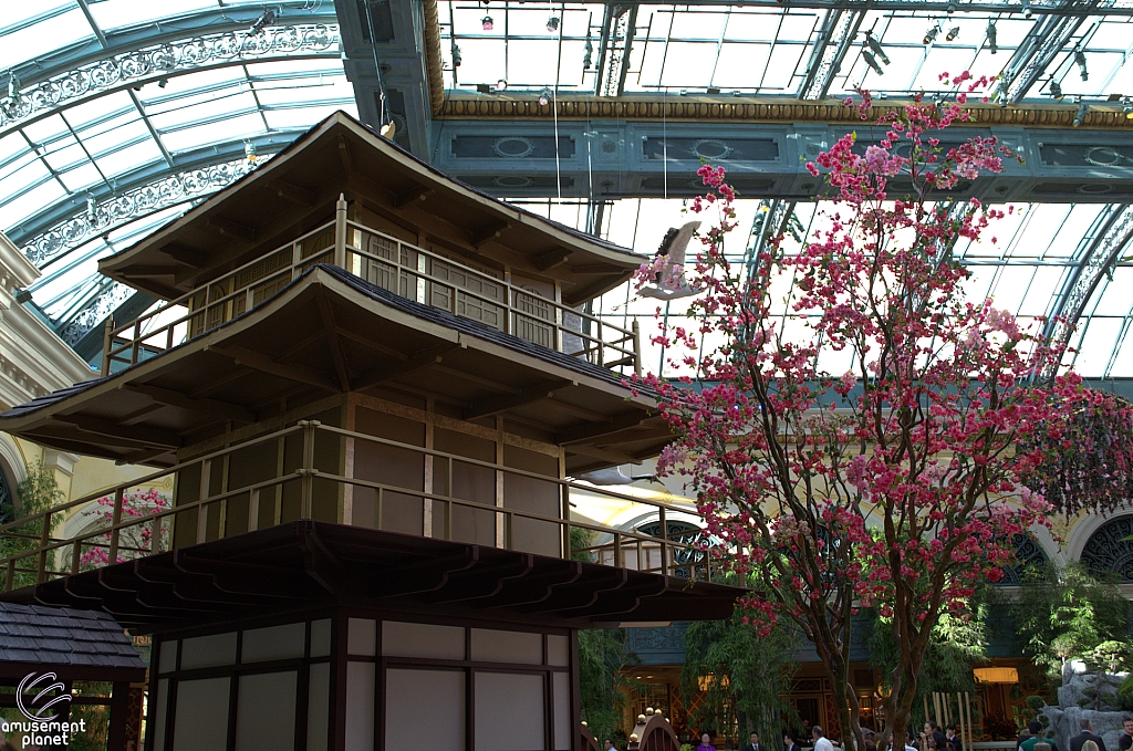 Conservatory and Botanical Gardens