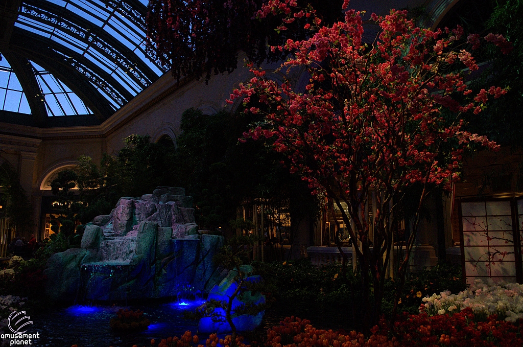 Conservatory and Botanical Gardens