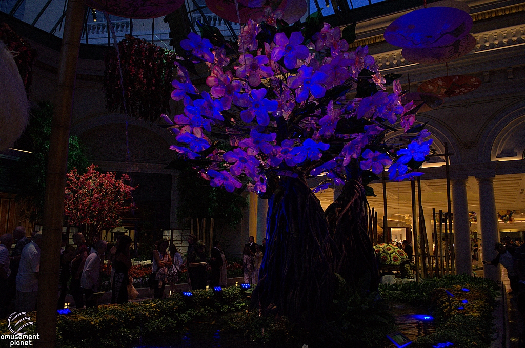 Conservatory and Botanical Gardens