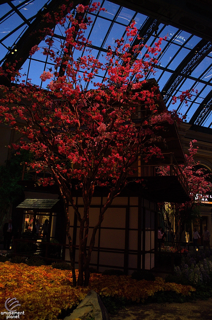 Conservatory and Botanical Gardens