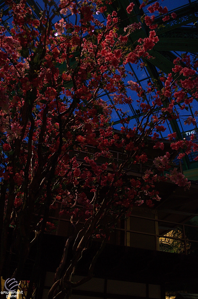 Conservatory and Botanical Gardens