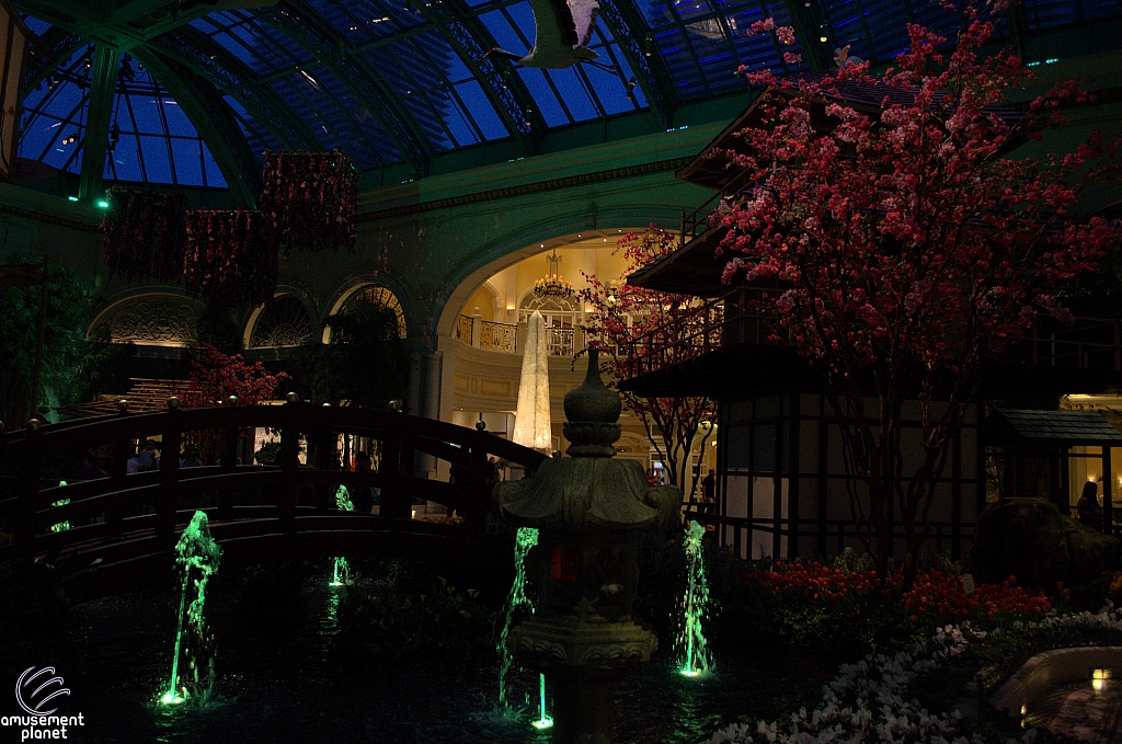 Conservatory and Botanical Gardens