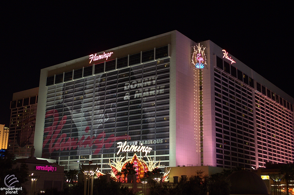 Flamingo