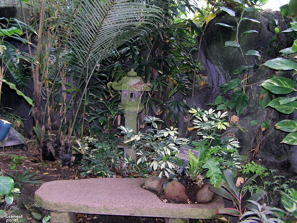 Rainforest Pyramid