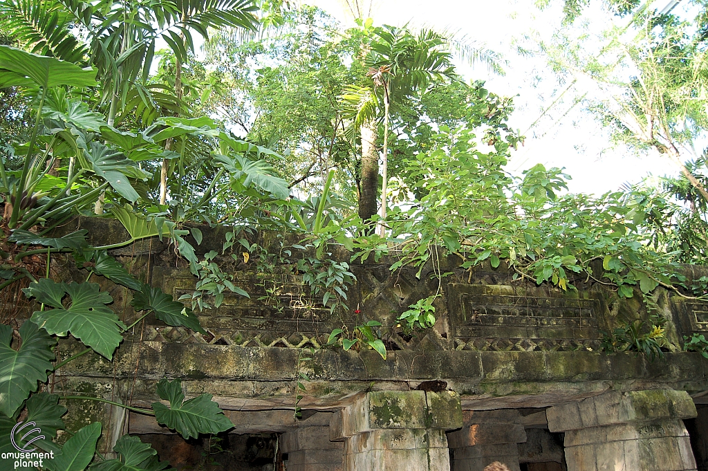 Rainforest Pyramid