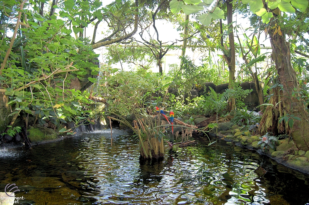 Rainforest Pyramid