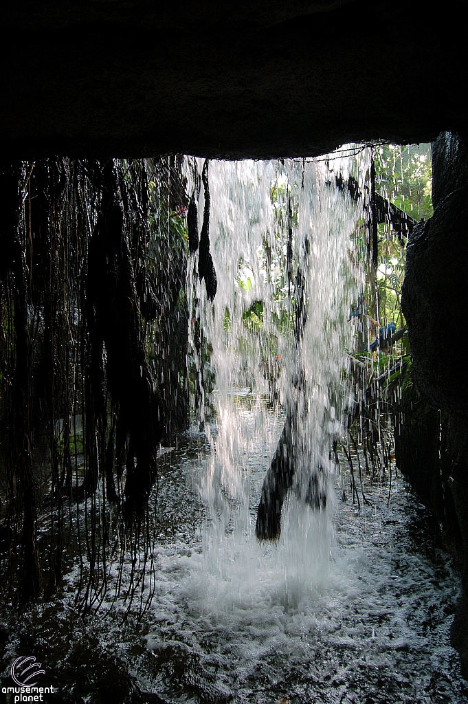 Rainforest Pyramid