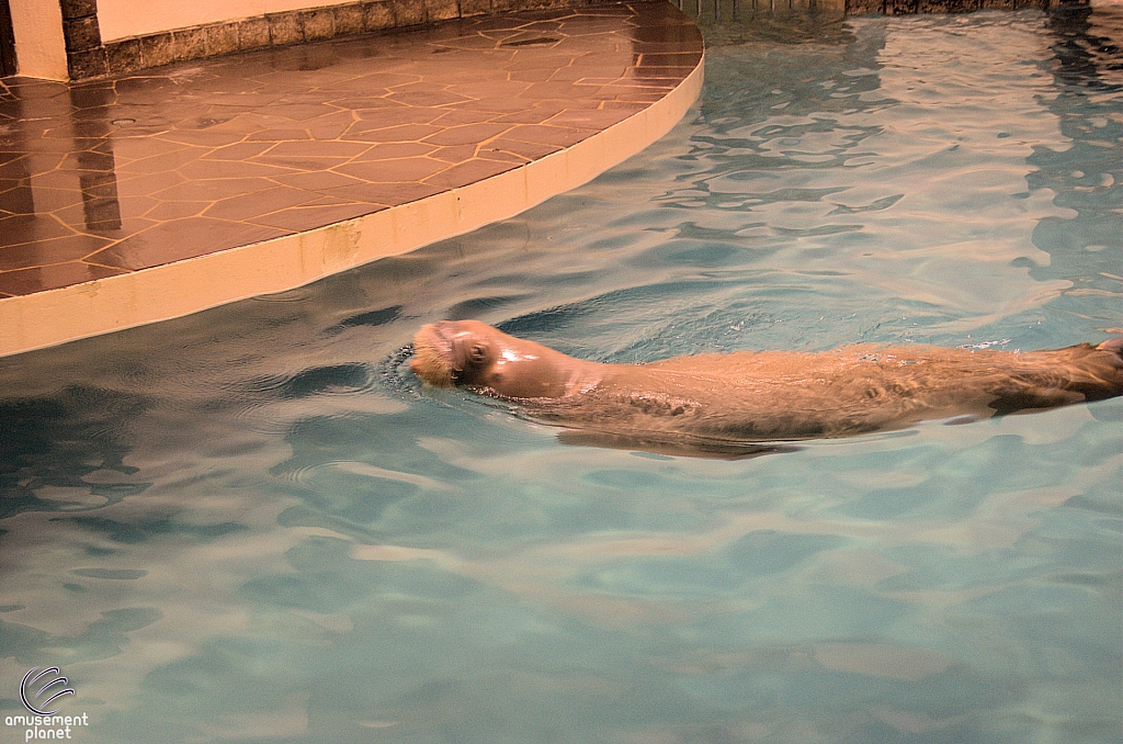 Marineland of Canada