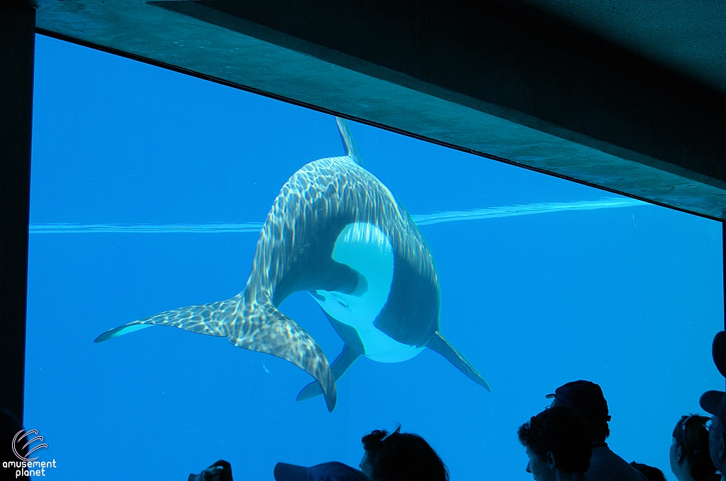 Marineland of Canada