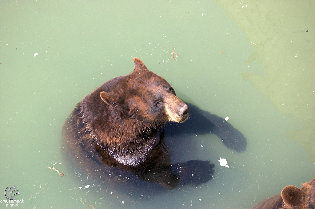 Marineland of Canada