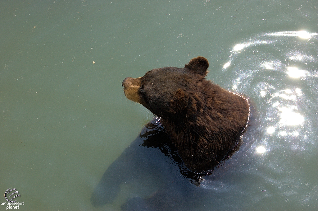 Marineland of Canada
