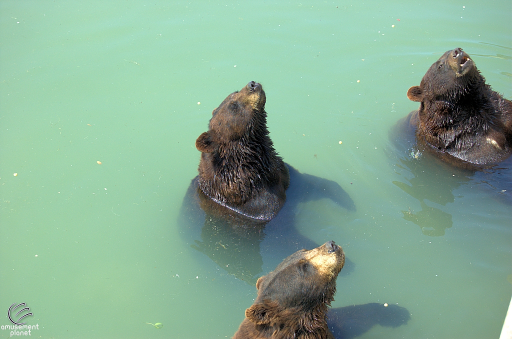 Marineland of Canada