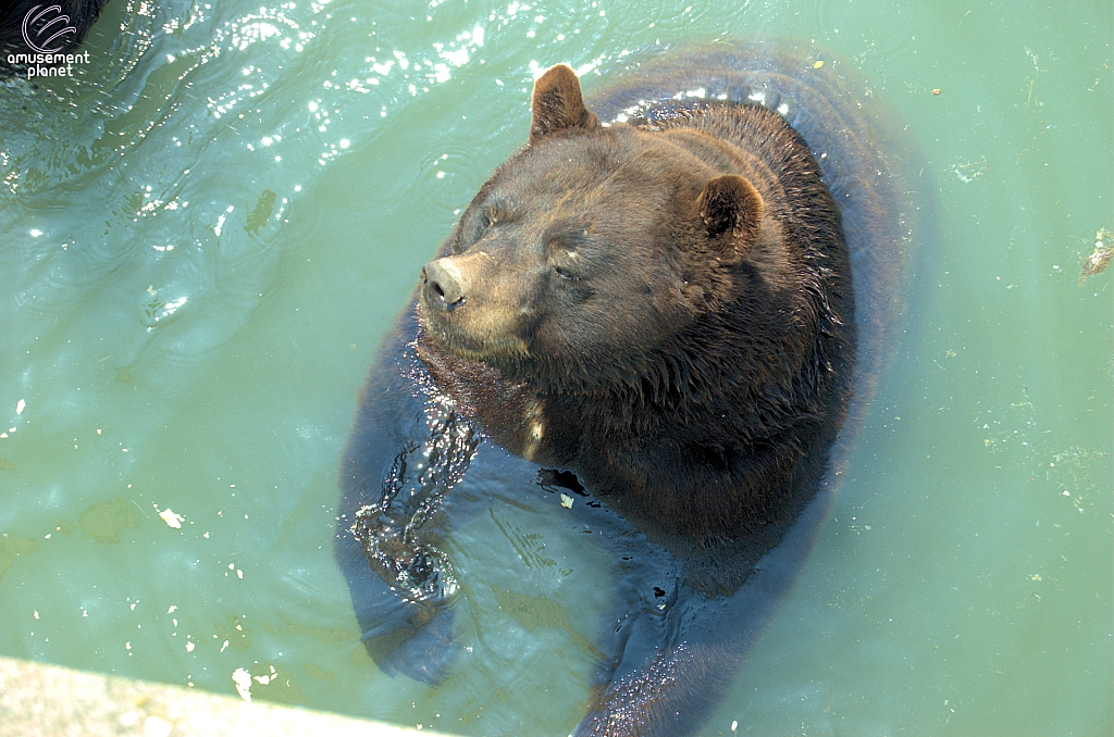 Marineland of Canada