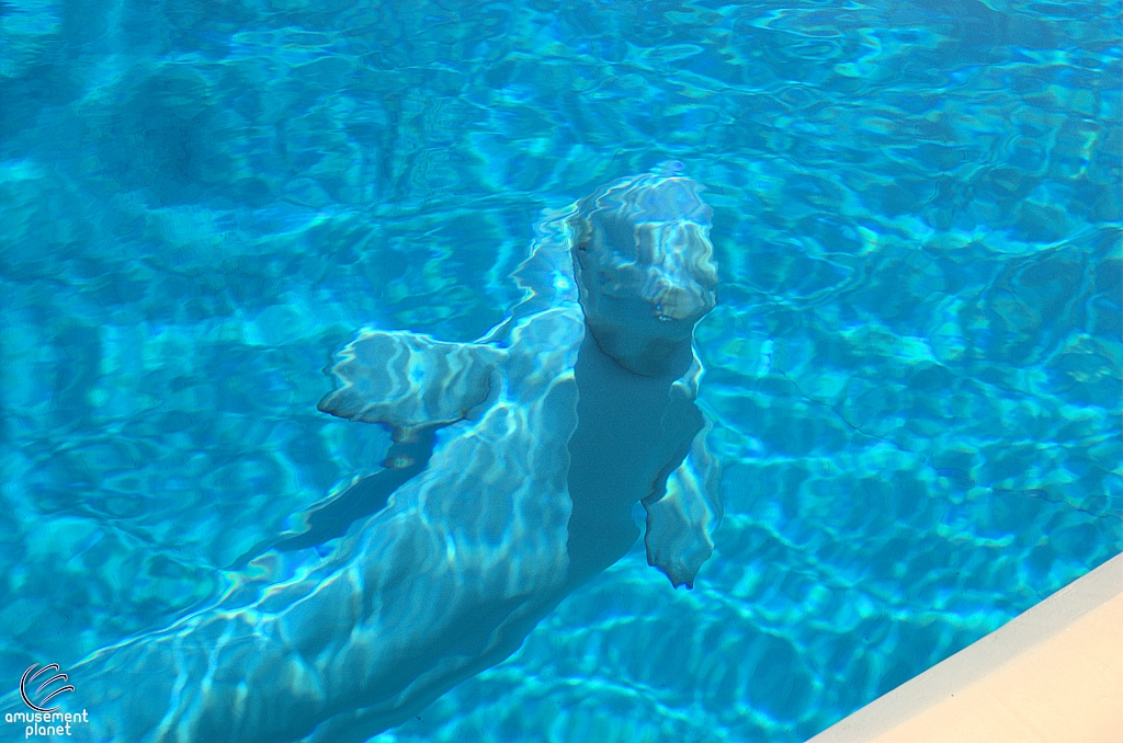 Marineland of Canada