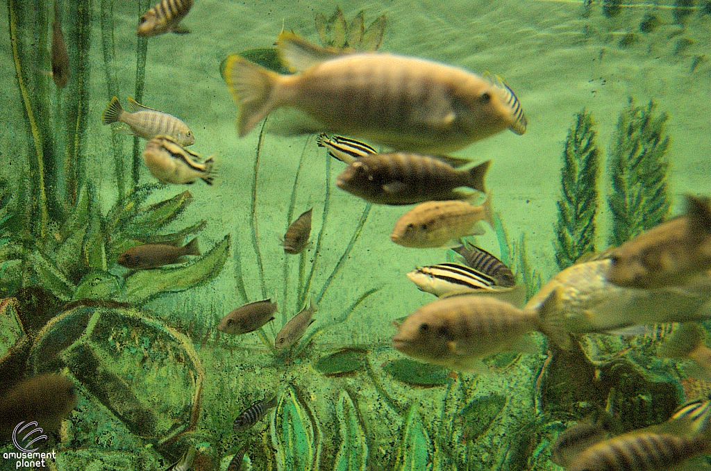 Marineland of Canada