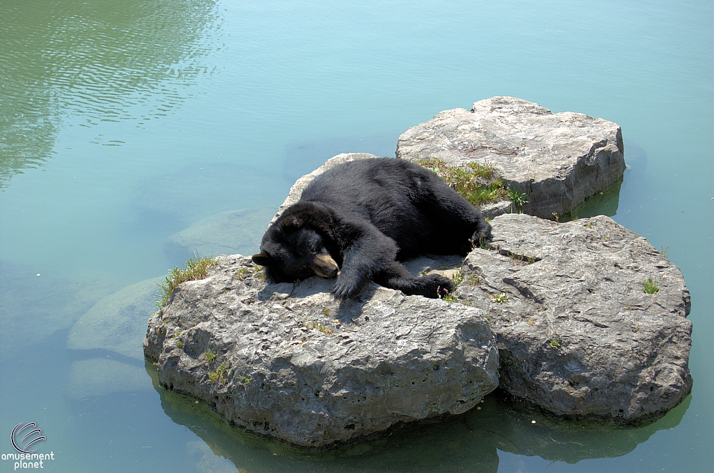 Marineland of Canada