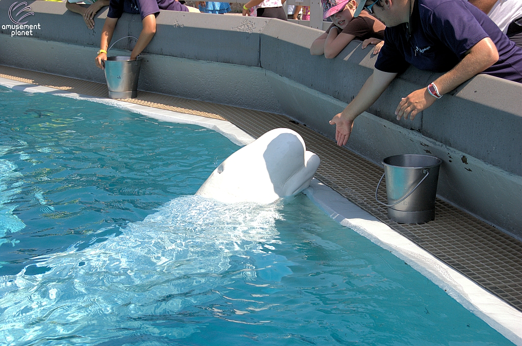 Marineland of Canada