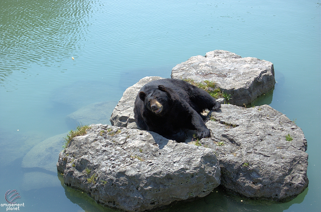Marineland of Canada