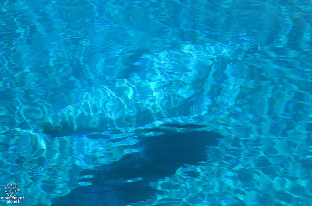 Marineland of Canada