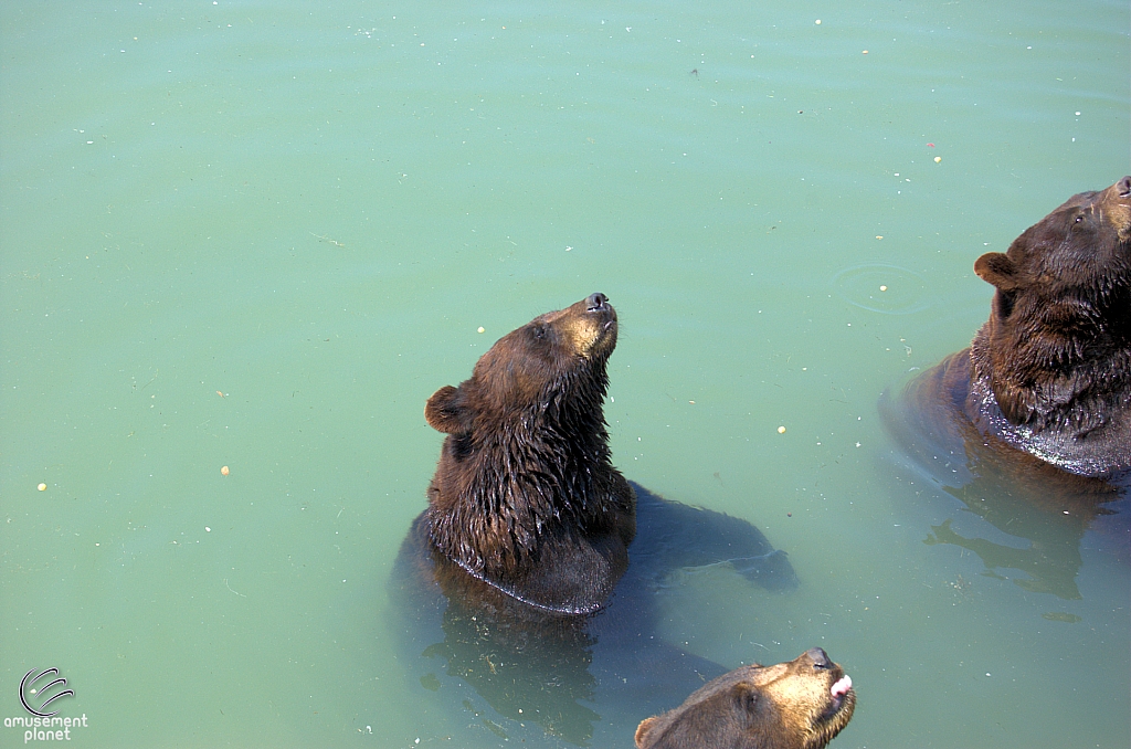 Marineland of Canada