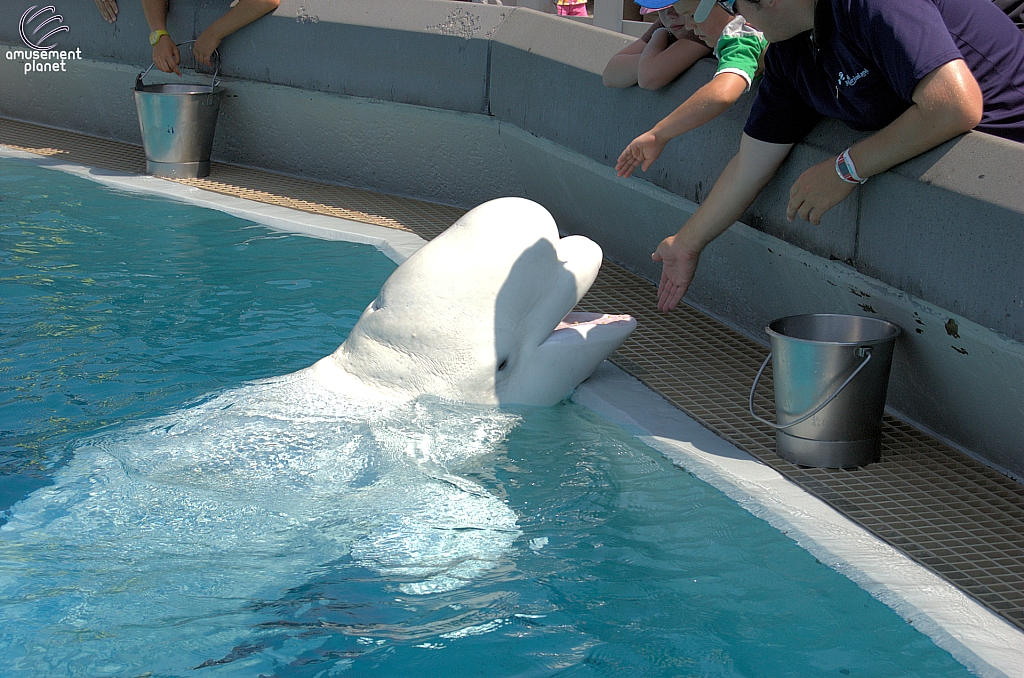 Marineland of Canada