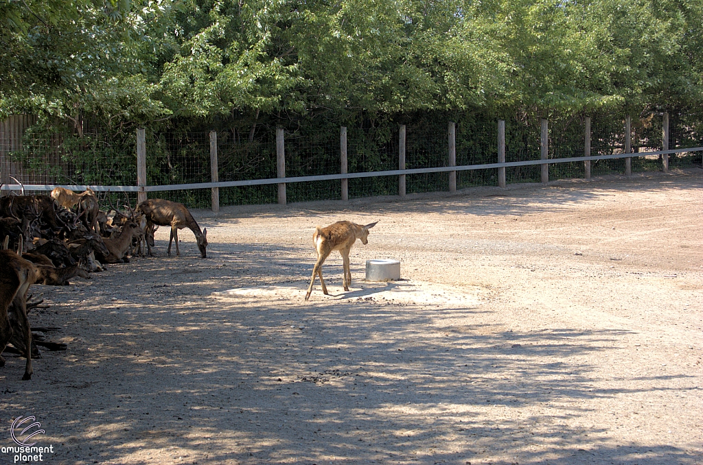 Marineland of Canada