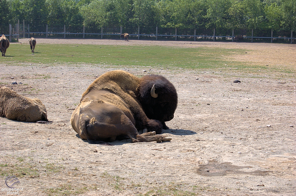 Marineland of Canada