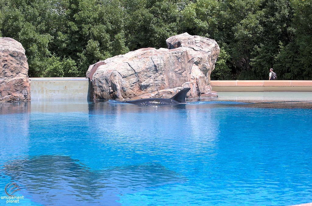 Marineland of Canada