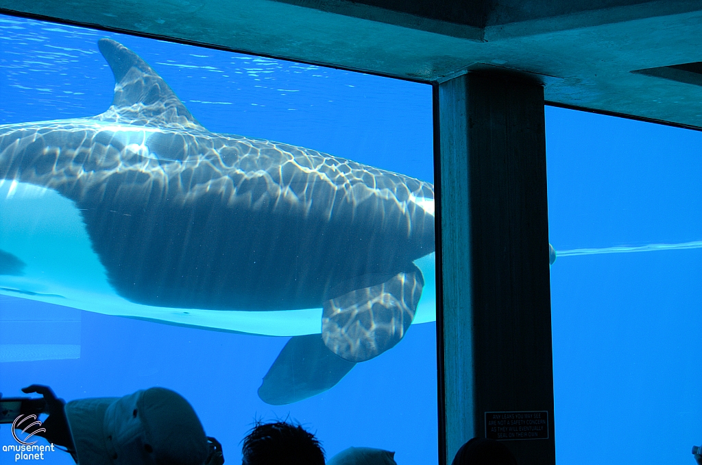 Marineland of Canada