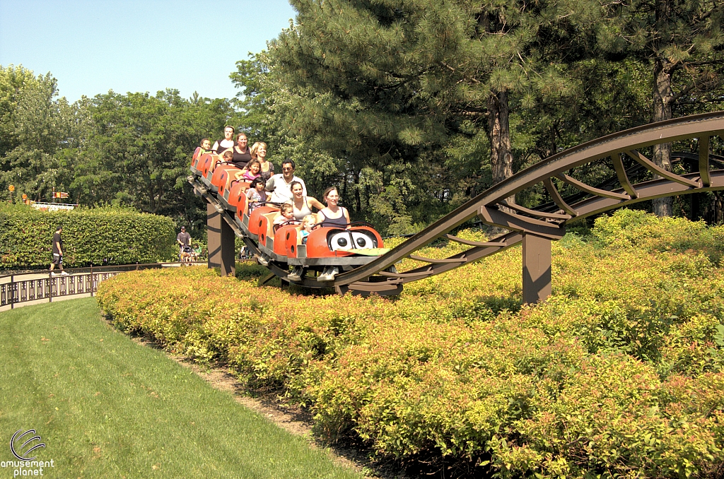 Lady Bug Coaster