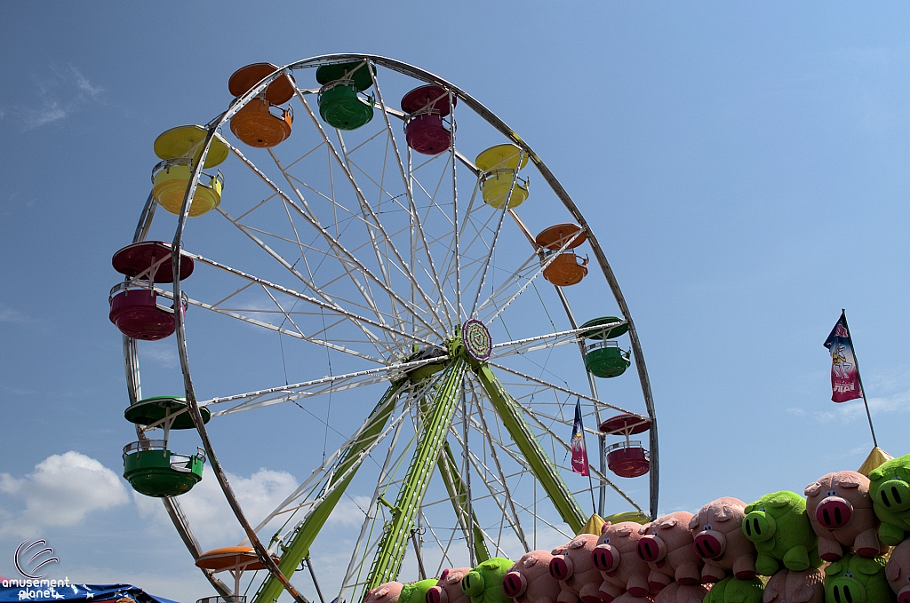 Expo Gondola Wheel