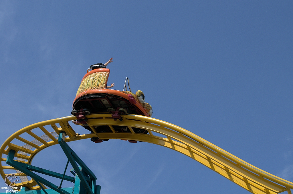 Crazy Mouse